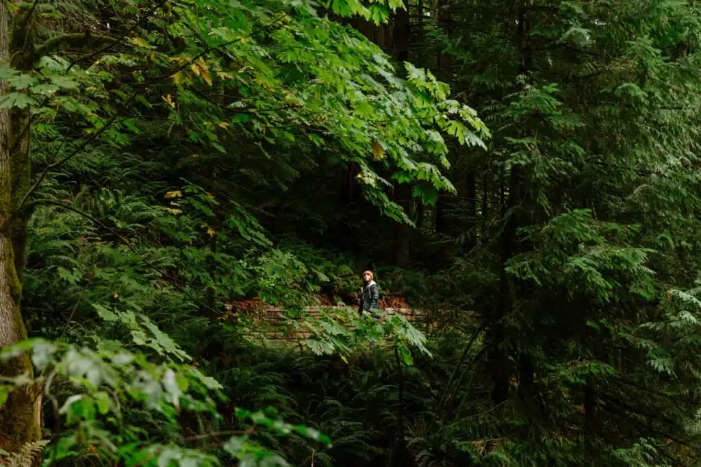 British Columbia’s Romantic River Country